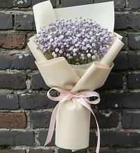 Букет цветов из:  Гипсофила #REPLACE_PRED# Боргустанской