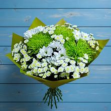 Букет цветов из:  Хризантемы #REPLACE_PRED# Боргустанской