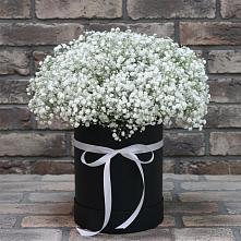 Цветочная композиция из Гипсофила в шляпной коробке в Боргустанской