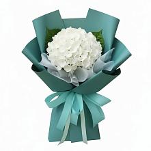 Букет цветов из:  Гортензия #REPLACE_PRED# Боргустанской